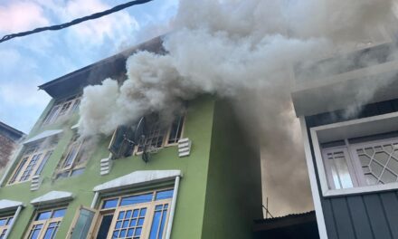 Fire Breaks Out in Srinagar Locality, Rescue Op Underway