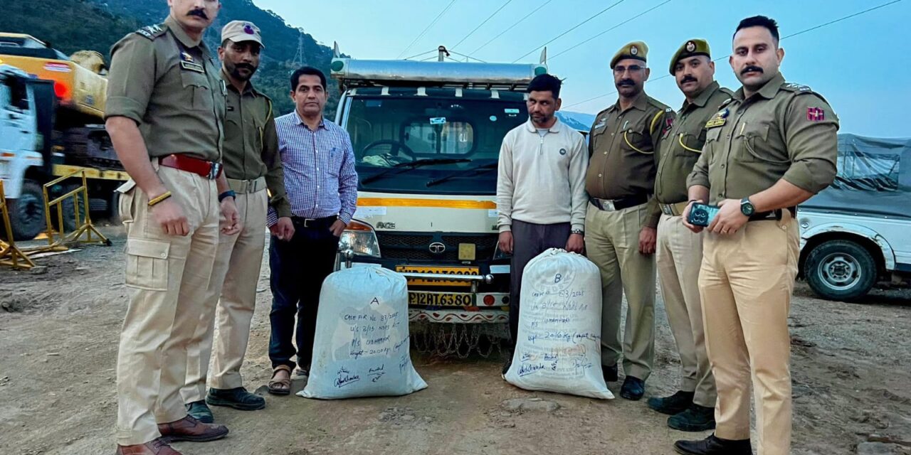 Drug peddler arrested in Udhampur, 40 kg poppy seized