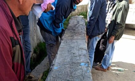 Joint Raids by J&K Police, Forest Department Deal Major Blow to Timber Mafia in Handwara