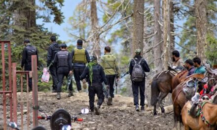 Pahalgam terror attack: Three Pakistan nationals, two Kashmiris among 5 terrorists identified