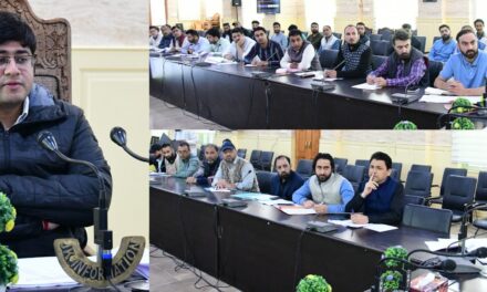 DC Ganderbal assess functioning of Revenue Department