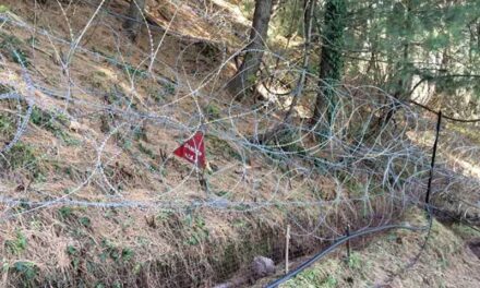 Pakistan violates LoC ceasefire for third consecutive night