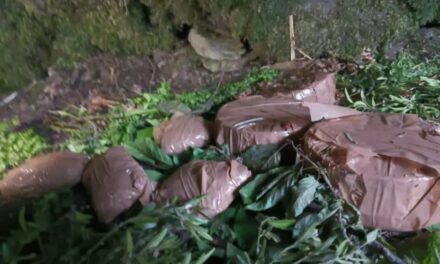 J-K: Security forces bust terror hideout in Poonch, recover 5 IEDs, radio sets