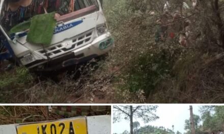 Casualties Feared, Several Others Injured As Bus Falls Into Gorge In Mendhar Poonch