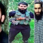 Tral Encounter: 3 bodies lying near encounter site, says IG Kashmir