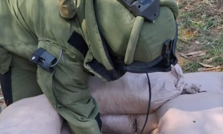 42 Unexploded Shells Destroyed In Poonch Border Areas: Army