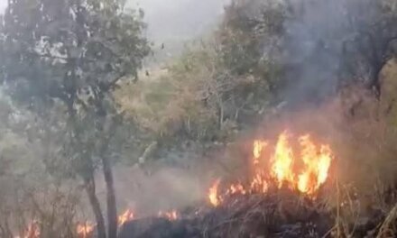 Forest fire trigger landmine blasts along LoC in Poonch