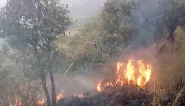 Forest fire trigger landmine blasts along LoC in Poonch