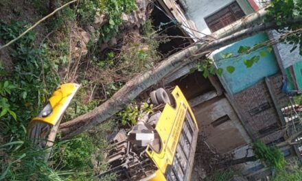 3 Students Injured In Rajouri Road Accident