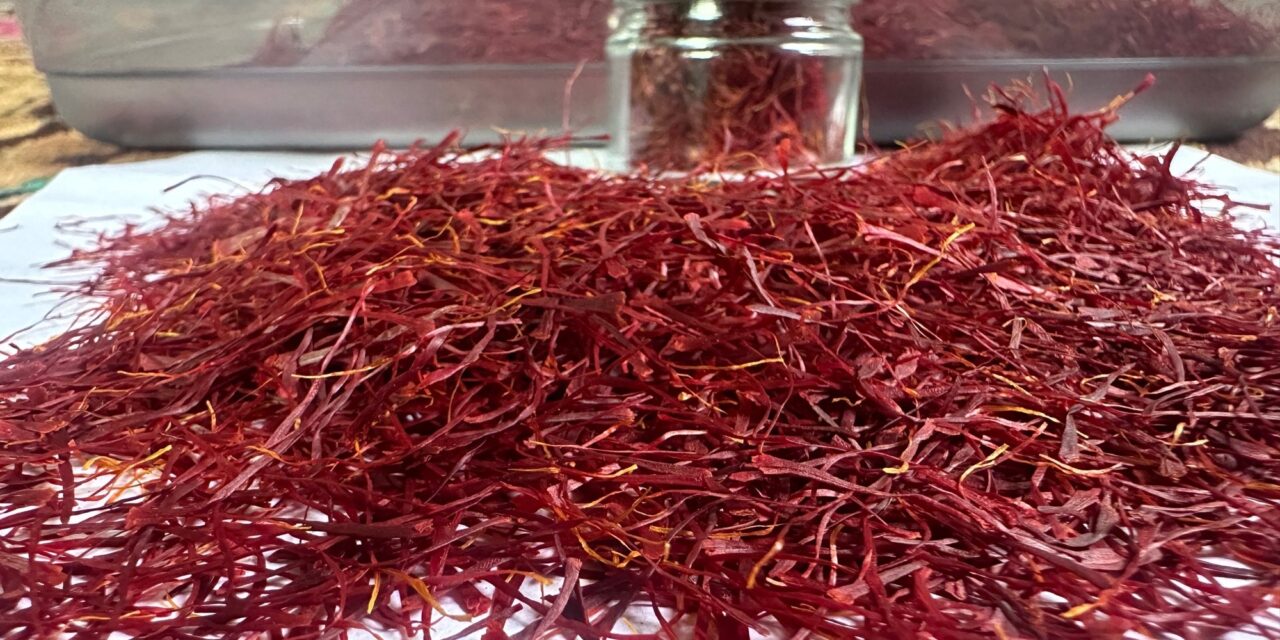Dry fruit, Kehwa, saffron sellers in Lethpora, Pampore say they face losses after Pahalgam attack