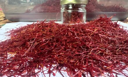 Dry fruit, Kehwa, saffron sellers in Lethpora, Pampore say they face losses after Pahalgam attack