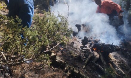 90% of Sonamarg Forest Fire Doused, Multi-Department Effort Lauded