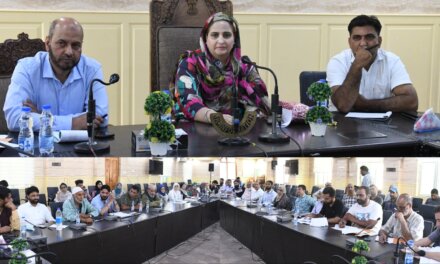 DDC Chairperson Ganderbal chairs preparatory meeting on Plan Formation for FY 2025-26