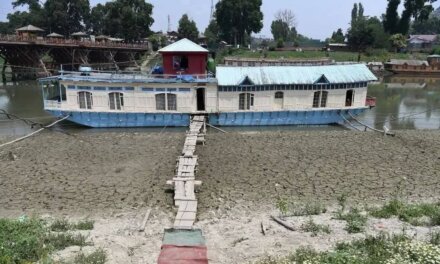 Jhelum shrinks as heatwave scorches Kashmir