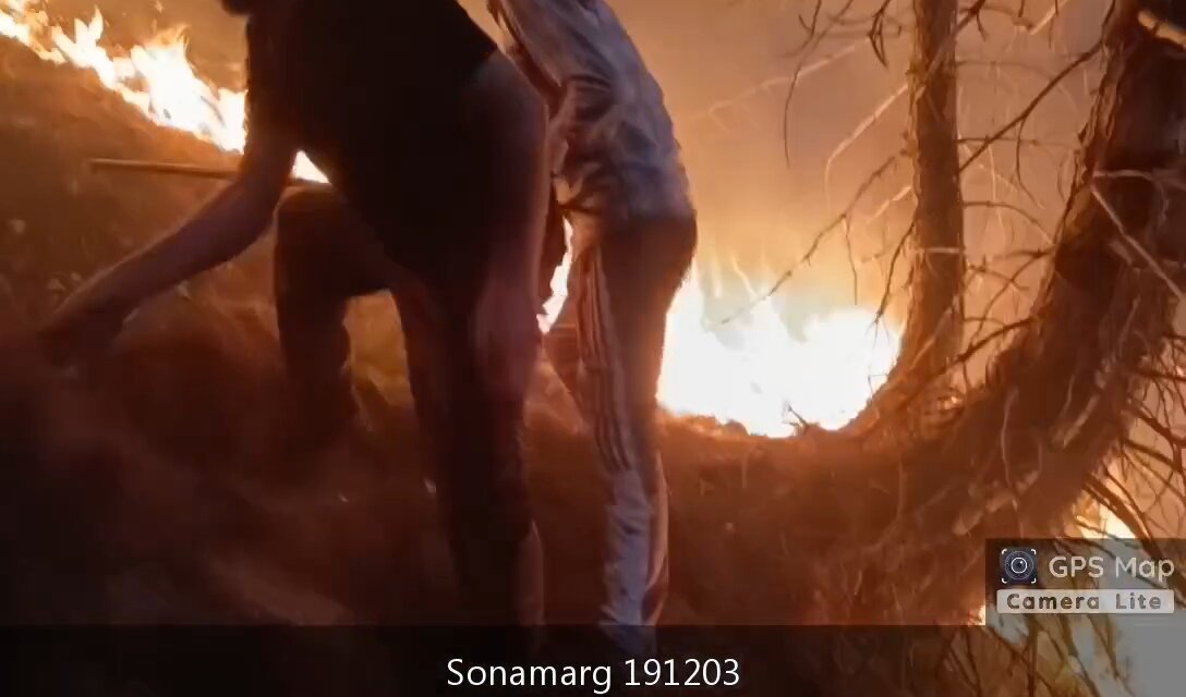 Massive Forest Fire Breaks Out in Gadibal, Sonamarg, Staff Battles to Contain Blaze