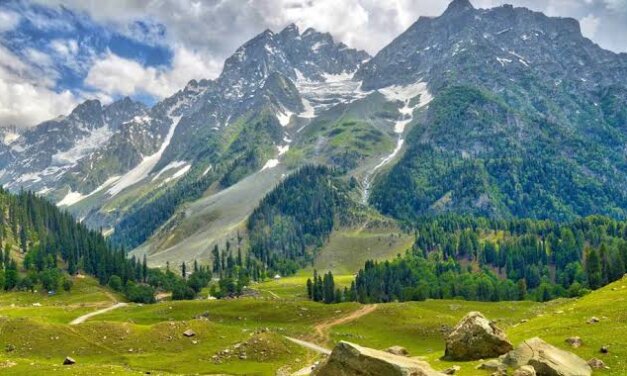Viral Video:“What Will I Tell Hyderabad?”; Tourists Slam Sonamarg Over Lack of Toilets, Dustbins