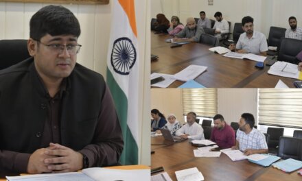 DC Ganderbal reviews functioning of Social Welfare Department and ICDS