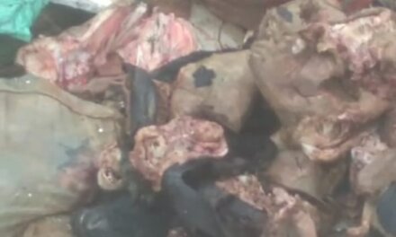 Sheep and Goat Remains Found Abandoned in Bags in Srinagar, Locals Express Outrage