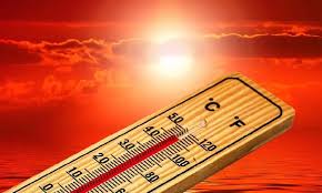 India recorded at least 84 heatstroke deaths in 2025 summer: Study