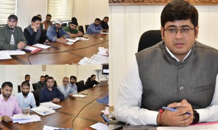 Ganderbal reviews rectification cases under Land Revenue Act and disposal of migrant land issues