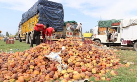 Apple growers reel under losses as bulk supply floods markets after highway delays