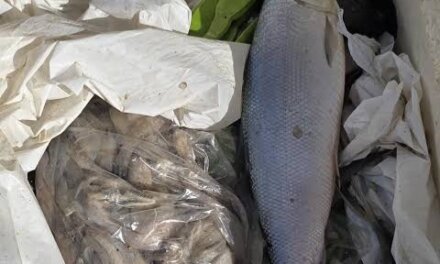 100 Kg Rotten Fish Seized at Srinagar Airport; Seller Arrested in Budgam