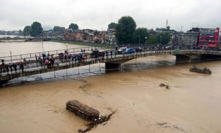 Admin on high alert, but water level below danger mark: DC Srinagar