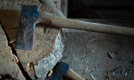 Teenager attacked with axe in Sgr, hospitalized