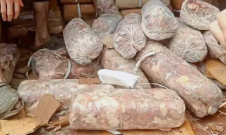 Over 11,600 kg rotten meat seized, destroyed across J&K since July: Minister