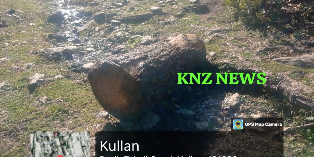 DFO Iqbal Rasool-IFS Leads Swift Action: Forest & Police Teams Seize 34 CFT Illegal Fir Timber in Sindh Range, Ganderbal