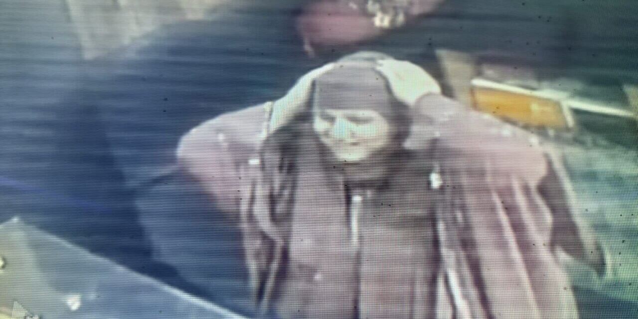 Woman Allegedly Cheats Goldsmiths and Copper Dealers of Lakhs