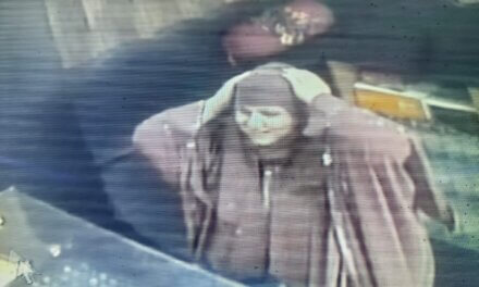 Woman Allegedly Cheats Goldsmiths and Copper Dealers of Lakhs