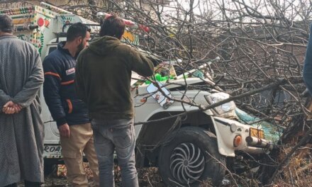 Vehicle Rams Into Orchard in Tral, Two Shifted to SDH