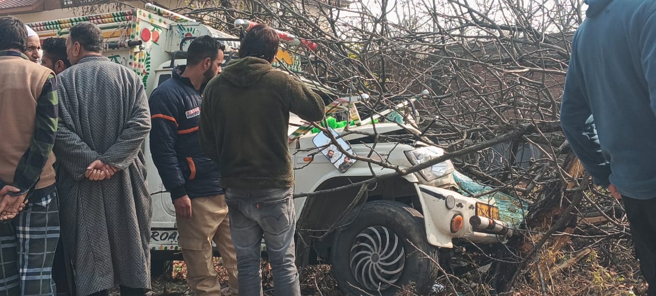 Vehicle Rams Into Orchard in Tral, Two Shifted to SDH