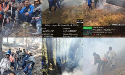 Forest Protection Force and Territorial Staff Successfully Extinguish Forest Fire in Akhal