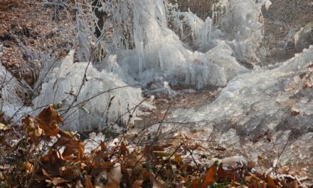 Shopian, Pulwama Freeze Below Minus 8°C; Ladakh Continues to Shiver Under Extreme Cold