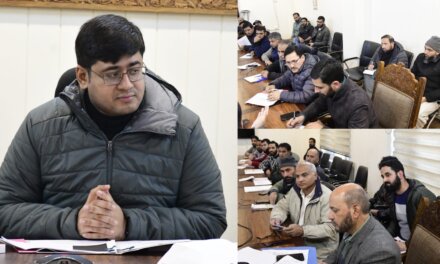 DC Ganderbal reviews pace & progress of Cabling & Smart Metering under RDSS