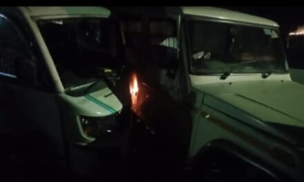 Driver Injured as Two Load Carriers Collide on Sonamarg Road.