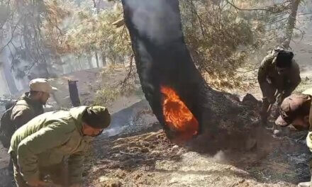 Day 5: Gurez Forest Fire Leaves Trail of Ecological Ruin, 80 Percent Contained