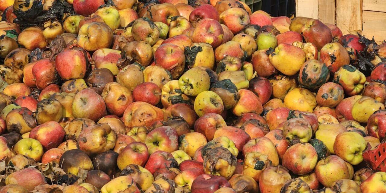 Fire Damages Hundreds of Apple Crates in Tulran Shopian