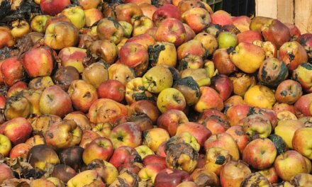 Fire Damages Hundreds of Apple Crates in Tulran Shopian