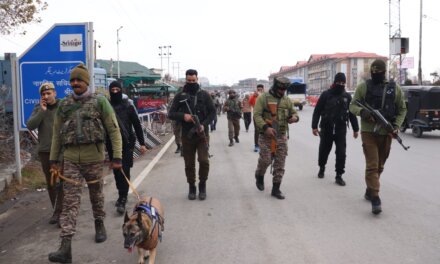 Security Grid Intensifies Checks Across Srinagar