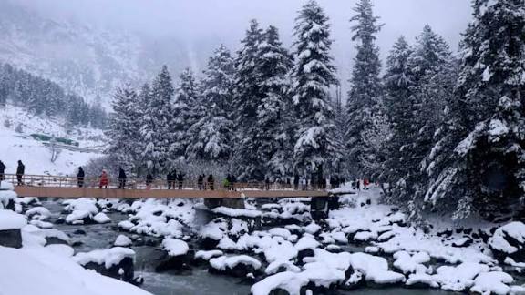 Snowfall Beneficial for Kashmir, Tourist Footfall Likely to Rise: Div Com