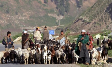 Gujjar, Bakerwal bodies allege harassment of nomad families in Rajouri