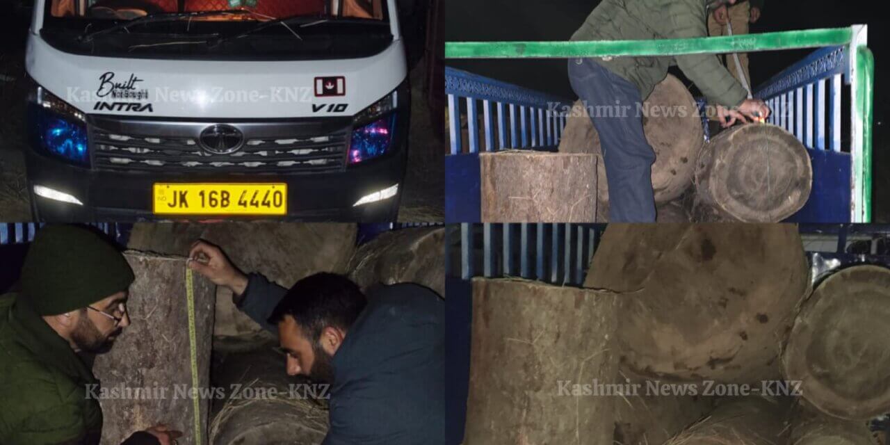 63 CFT illegal timber, vehicle seized in joint Forest–Police action in Ganderbal