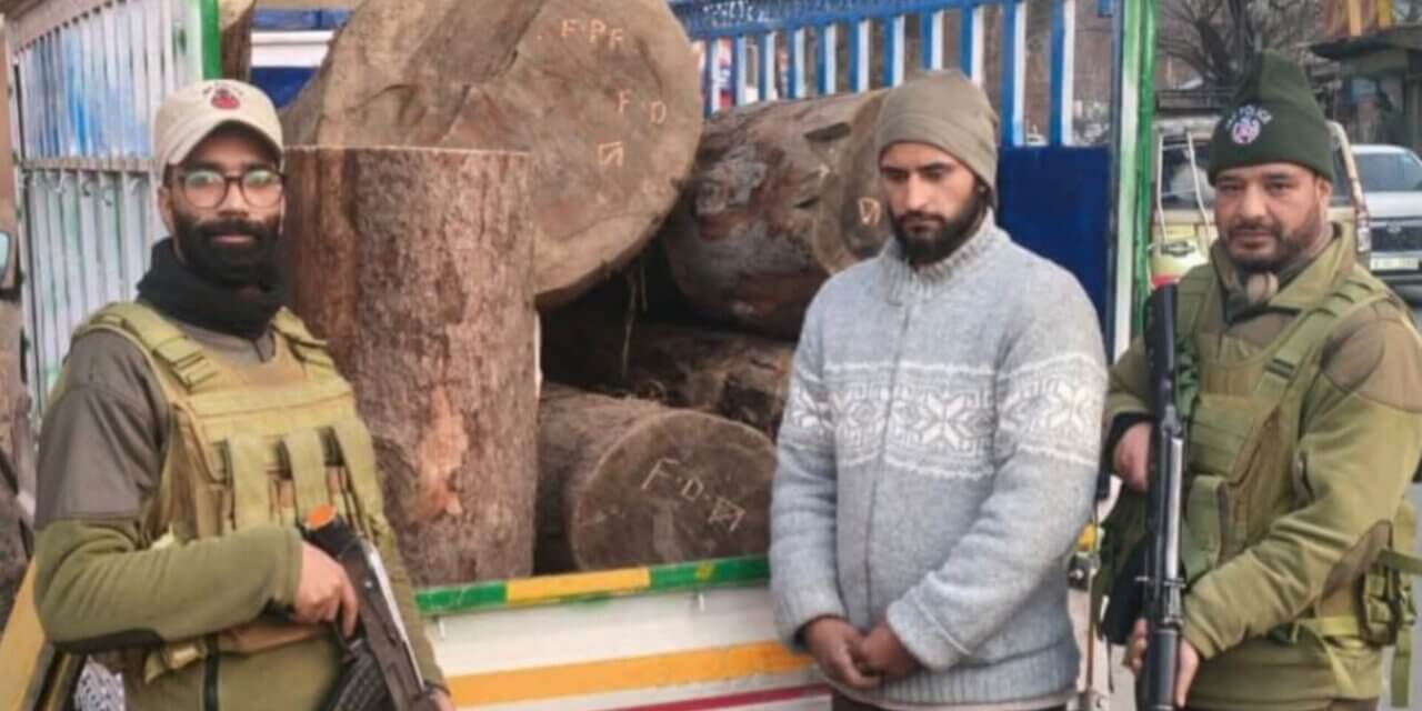 Ganderbal Police Bust Timber Smuggling Racket; Illicit Kail Timber and Vehicle Seized, Accused Arrested