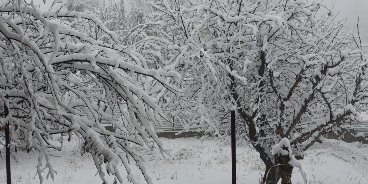 Snowfall disrupts travel across Kashmir; highway shut, rail service hit, 25 flights cancelled