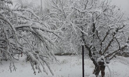 Snowfall disrupts travel across Kashmir; highway shut, rail service hit, 25 flights cancelled