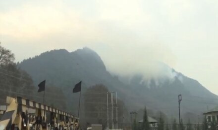 Forest blaze engulfs Zabarwan forest belt, thick smoke covers region