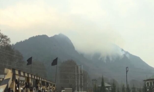 Forest blaze engulfs Zabarwan forest belt, thick smoke covers region